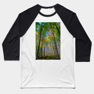 Autumn is Coming in the Forest. Baseball T-Shirt